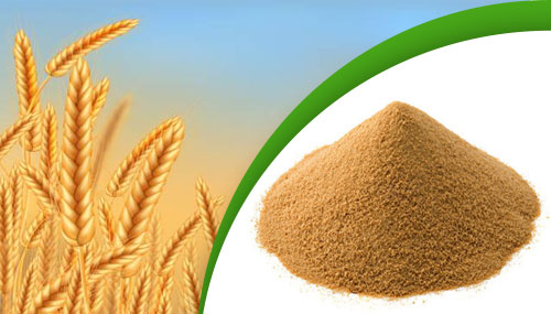 Malt Extract Powder